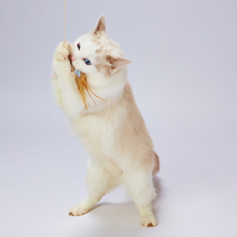 Petio軟綿綿羽毛蜻蜓逗貓棒
CAT TOY Dragonfly Teaser 
with Fluffy Feather #G163 W25912