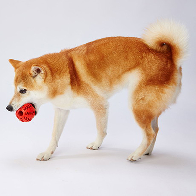 TREATS LOVER 潔齒零食狗玩具球 M (可塗牙膏)  #G152 W26475