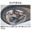 necoco貓貓4層透明貓窩貓爬架 (連藏身樹屋) #F180 W27185