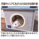 necoco貓貓4層透明貓窩貓爬架 (連藏身樹屋) #F180 W27185