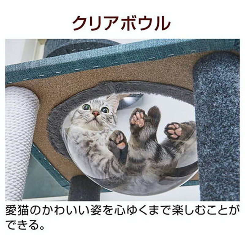 necoco貓貓4層透明貓窩貓爬架#F179 W27184