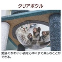 necoco貓貓4層透明貓窩貓爬架#F179 W27184
