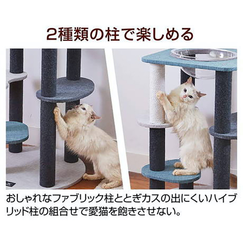 necoco貓貓4層透明貓窩貓爬架#F179 W27184
