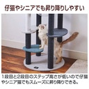 necoco貓貓4層透明貓窩貓爬架#F179 W27184