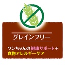  Petio低敏無穀物 山羊奶風味 植物性軟潔齒骨 狗小食10條裝 #A162 W13560