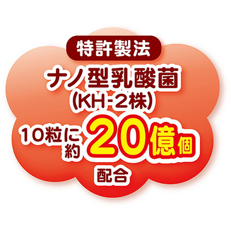 Petio 日本產 乳酸菌低聚糖饅頭餅乾(+鈣・腸胃健康) 狗小食45g #A234 W13832