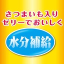 Petio 香甜高纖甘薯啫喱條 (腸胃健康&水分補充) (可雪凍) 狗小食 8支裝 #A246 W13879