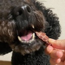 Petio 日本產 無添加風乾薄切純雞脾肉片(潔齒) 狗小食 55g #A212 W14056