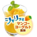 Petio  日本產 乳酸菌保健啫喱(芒果乳酪味) 狗小食(16g x 15個)#A281 W14122