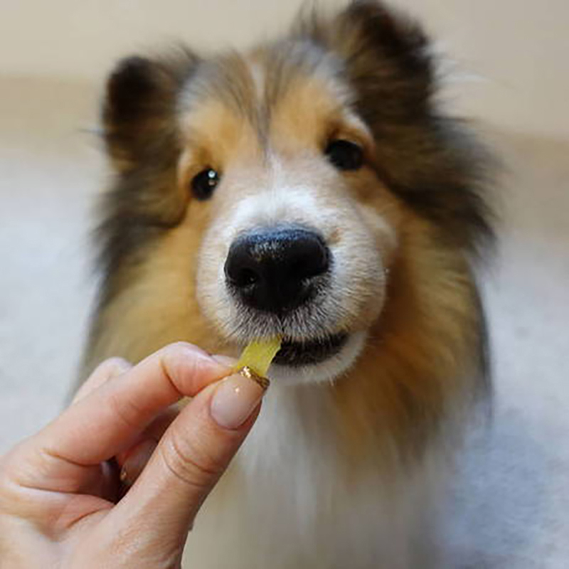 Petio  無添加 香甜高纖甘薯極薄切片 狗小食 120g #A286 W14108