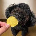 Petio  無添加 極薄香甜高纖甘薯脆片 狗小食85g #A297 W14110
