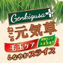 Petio 日本產 去毛球&腸胃健康護理貓草切片  貓小食 25g #B164 W14129