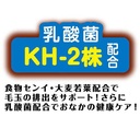 Petio 日本產 去毛球&腸胃健康護理貓草切片  貓小食 25g #B164 W14129