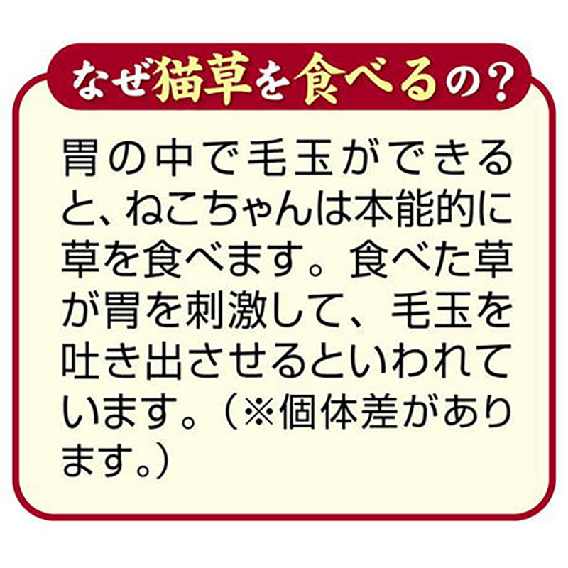 Petio 日本產 去毛球&皮膚毛髮護理貓草脆粒粒  貓小食30g #B166 W14131