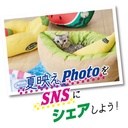 Petio貓狗用冷感可手洗寵物床(奇異果船)#H93 W27113