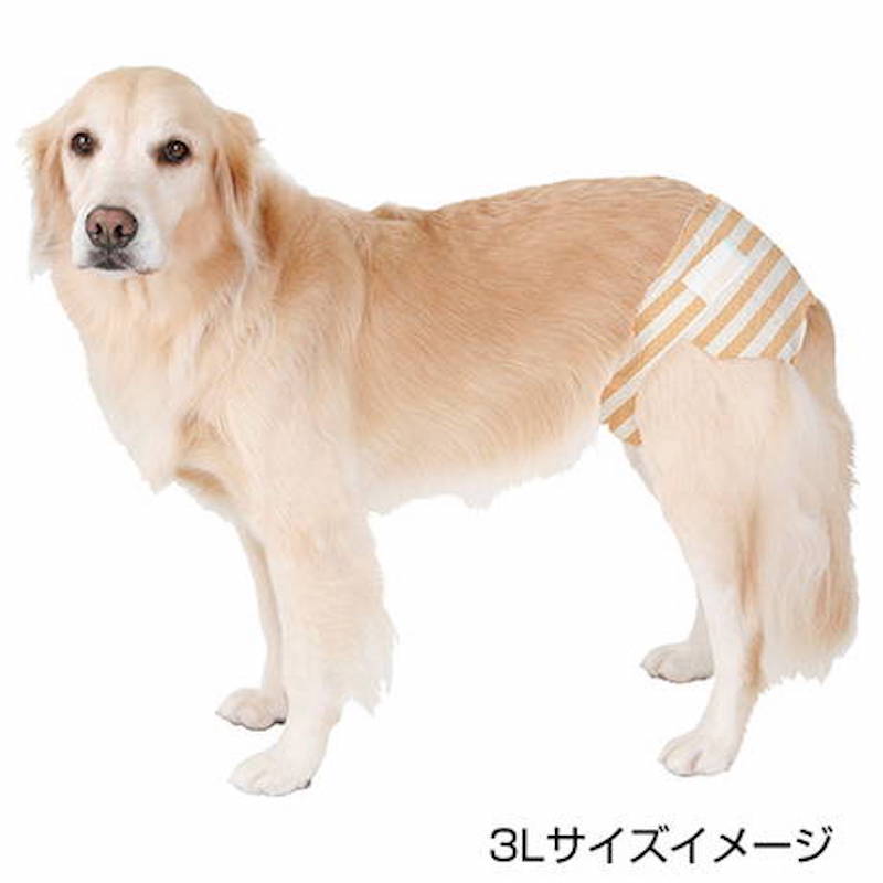 zuttone高齡犬護理專用包圍式紙尿片 2L 12片（橙色橫間 圓點尿褲可用） #D67 W26864