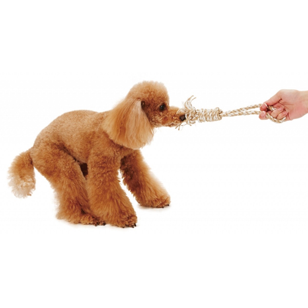 Petio犬用磨牙潔齒麻繩玩具  S  #G66 W25174