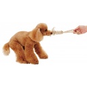 Petio犬用磨牙潔齒麻繩玩具  S  #G66 W25174