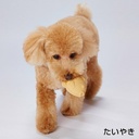 Petio犬雅和菓子系列 柔軟乳膠狗玩具（鯛魚燒） #G170 W25906