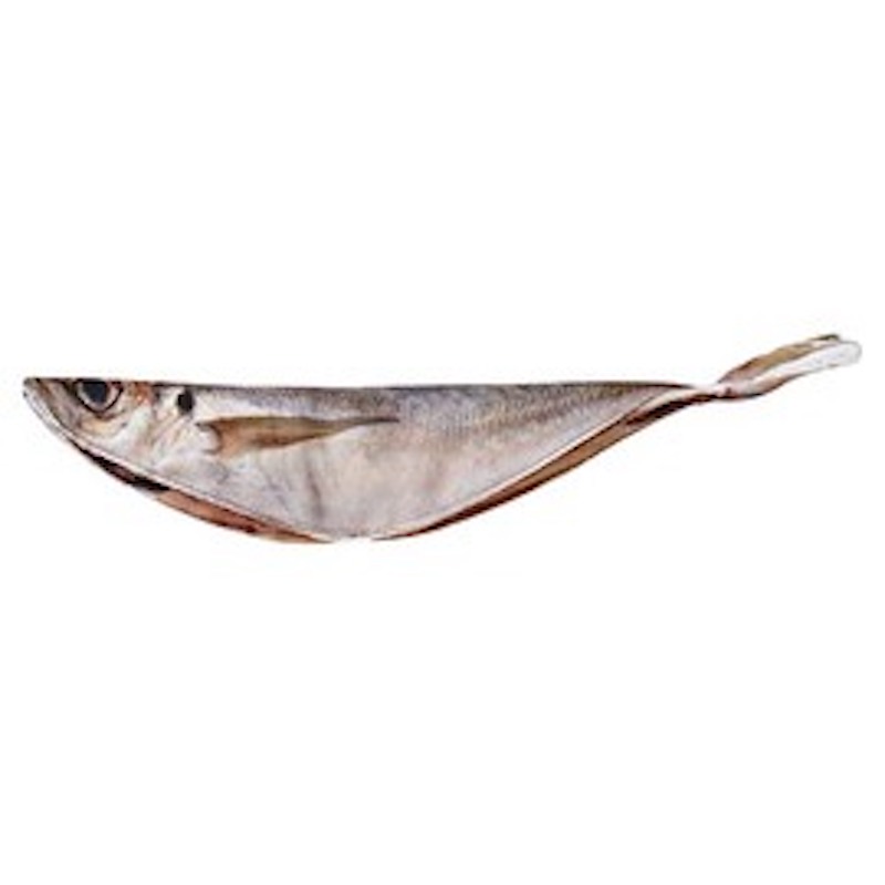 Grilled Fish House Kicking Stuffed Japanese Horse Mackerel G30A25219