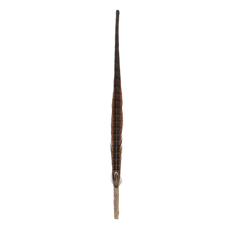 木天蓼山雞羽毛逗貓棒（超長型-170cm） #G155 QC71128 