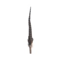 Extra Long Type Cat Teaser Replace (Pheasant Feather with Silvervine) #G180 QC71129