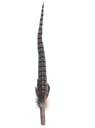 Petio CAT TOY Dragonfly Teaser with Fluffy Feather #G163 W25912