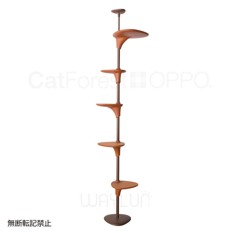OPPO CatForest Brown #P42