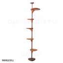 OPPO CatForest Brown #P42