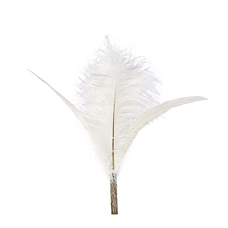 Extra Long Type Cat Teaser Replace (Trident White Ostrich Feather with Silvervine) MBPL-39