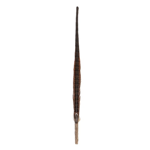 [91602853] 木天蓼山雞羽毛逗貓棒（超長型-170cm） #G155 QC71128 