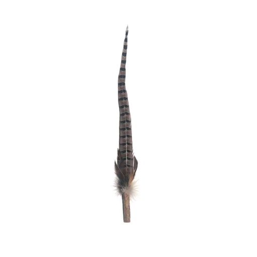 [91602872] Extra Long Type Cat Teaser Replace (Pheasant Feather with Silvervine) #G180 QC71129