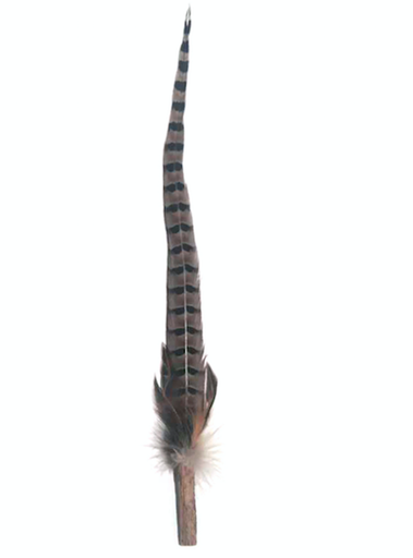 [91602592] Petio CAT TOY Dragonfly Teaser with Fluffy Feather #G163 W25912