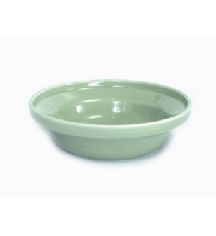 [91501689] 陶瓷貓用健康餵食碗 L #F19 W25304