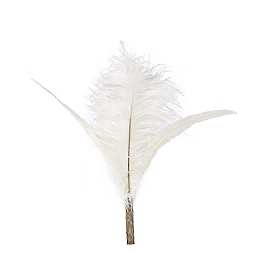 [91603533] Extra Long Type Cat Teaser Replace (Trident White Ostrich Feather with Silvervine) MBPL-39